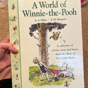 A World Of Winnie the Pooh A.A. Milne hardcover story book classic illust. EUC